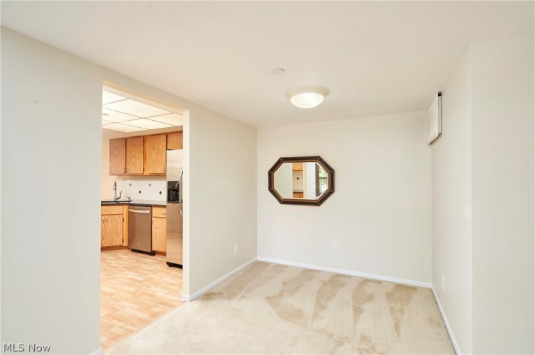 160 Fox Hollow Drive #306, Mayfield Heights, OH - Photo 8