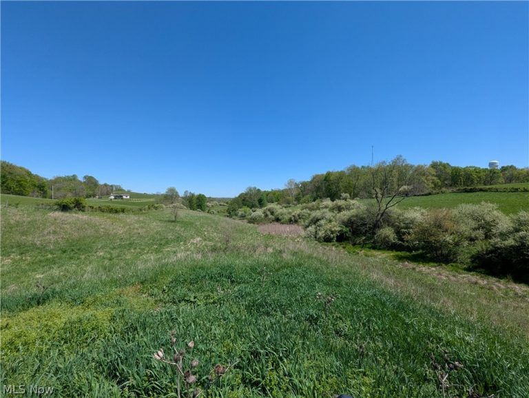 Sandy Lane, Chesterhill, OH - Photo 8