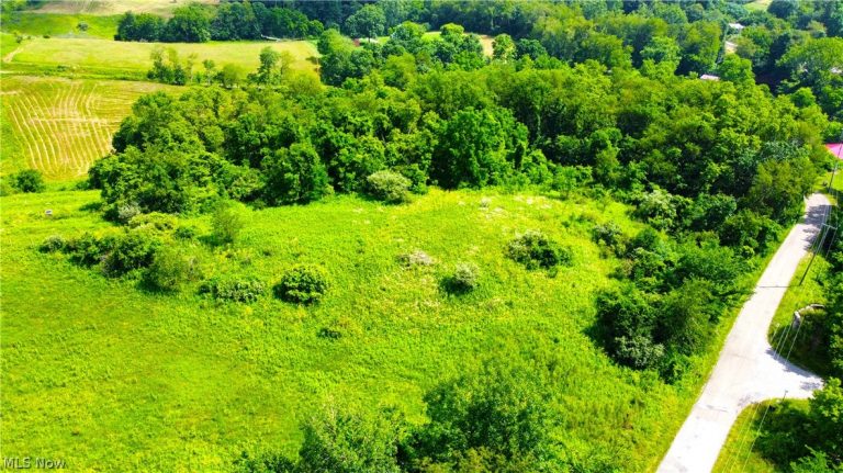 Township Road 135, Dillonvale, OH - Photo 4