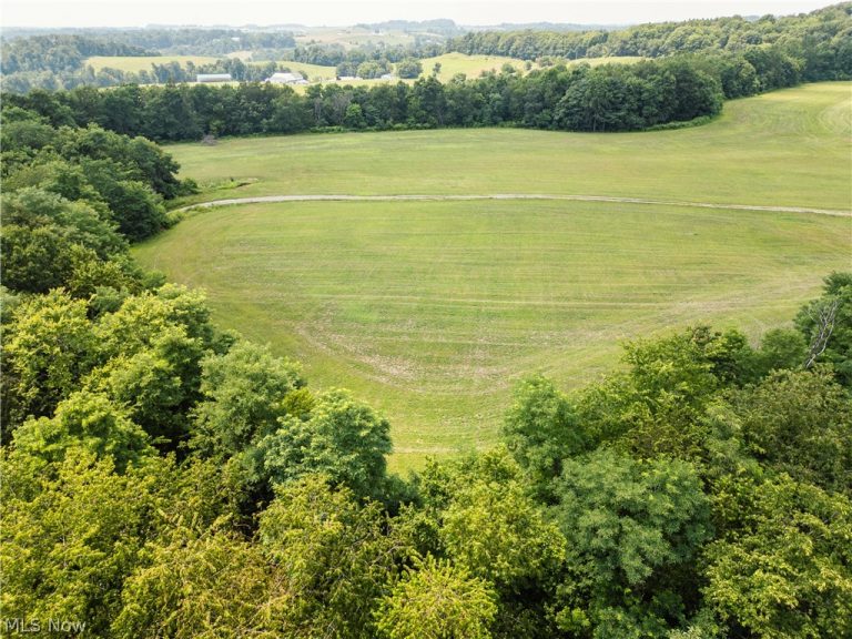 Township Road 85, Baltic, OH - Photo 5