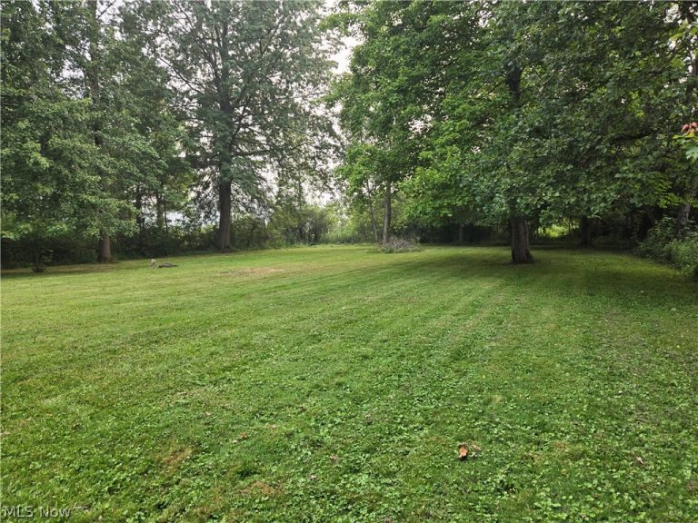 5214 Boneta Road, Medina, OH - Photo 4