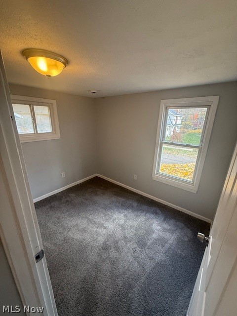 702 Grace Avenue, Akron, OH - Photo 8