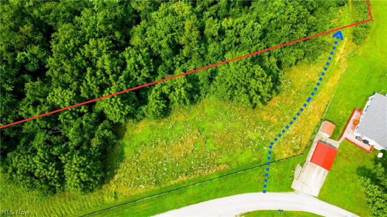Davis Ridge, Caldwell, OH - Photo 3