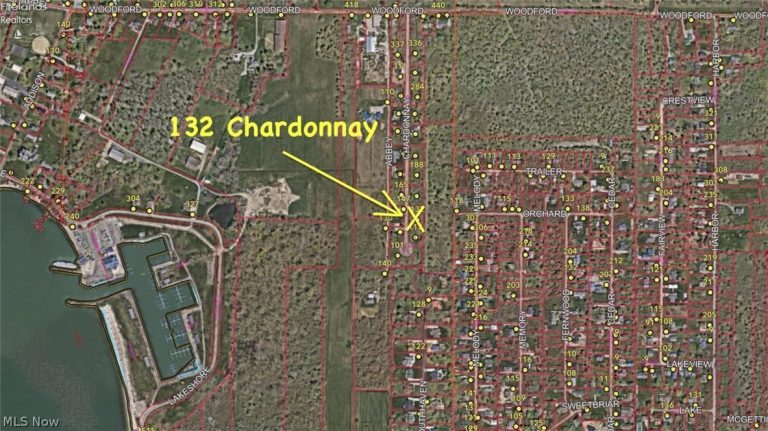 132 Chardonnay Drive, Kelleys Island, OH - Photo 2