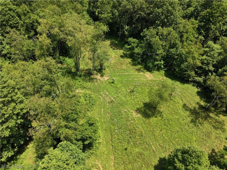 0 Tract B Brownrigg Road, Caldwell, OH - Photo 6