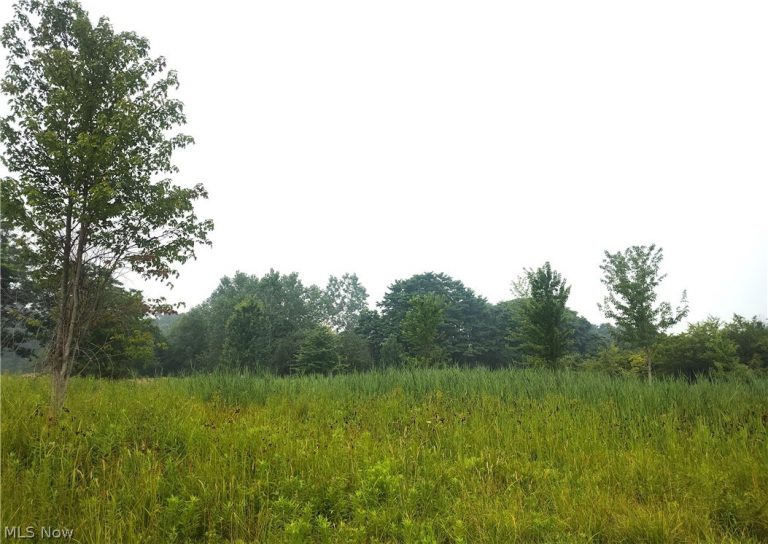 VL Mcmackin Road, Madison, OH - Photo 3