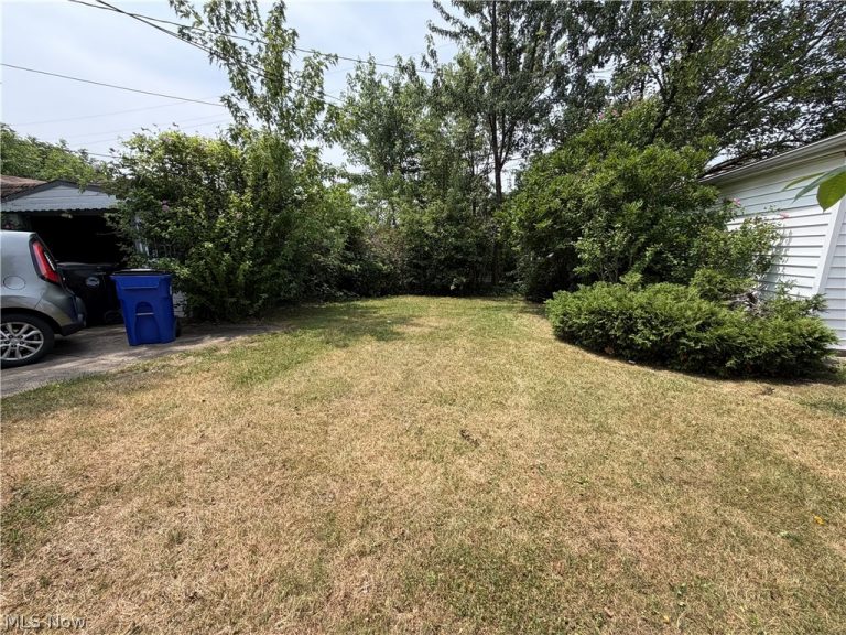 4120 150th Street, Cleveland, OH - Photo 3