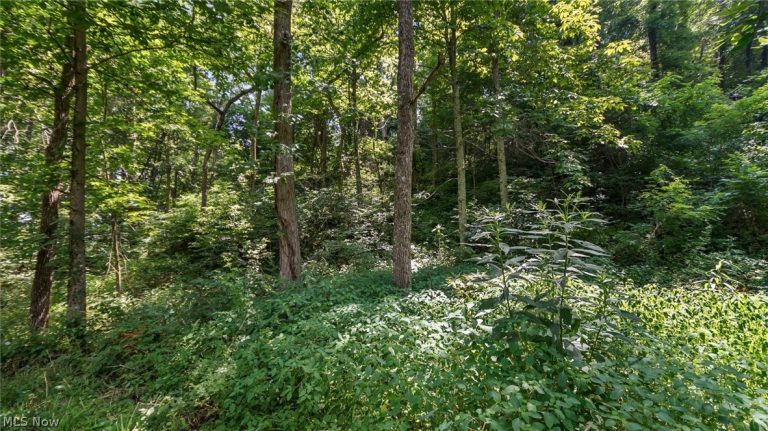 3200 Woodyard Road, Stockport, OH - Photo 2