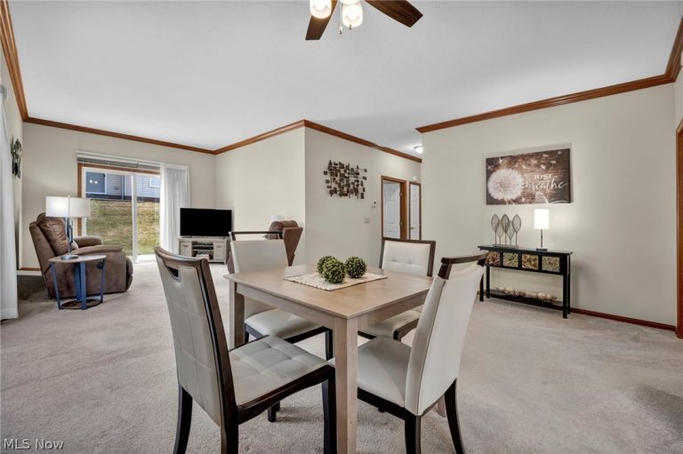 205 Village Drive, Seven Hills, OH - Photo 8