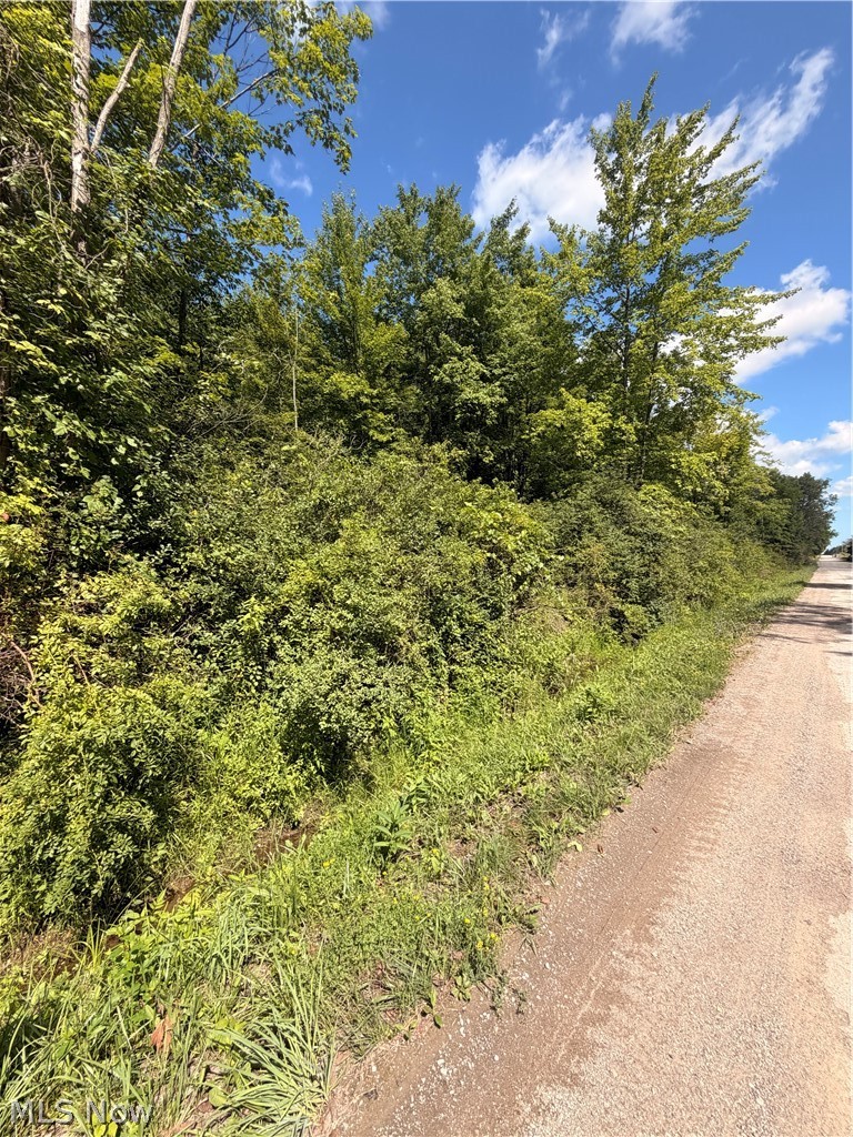 Forman Road, Rock Creek, OH