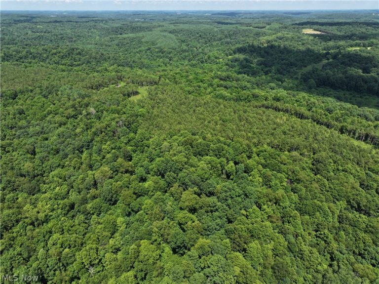 0 Tract D E. Reinersville Road, Mcconnelsville, OH - Photo 6