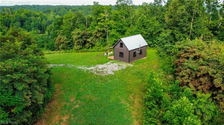 Ogles Ridge Road, Dexter City, OH - Photo 4