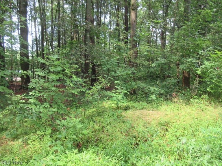 4th Avenue, Andover, OH - Photo 2