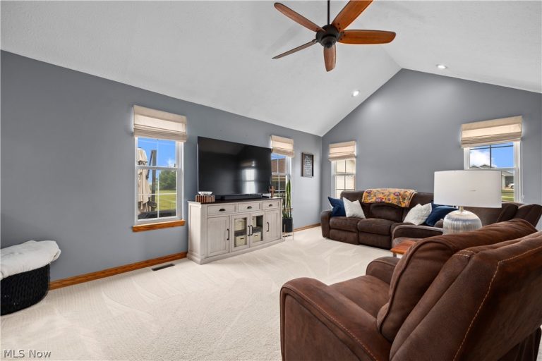 43800 Smith Road, Wellington, OH - Photo 4