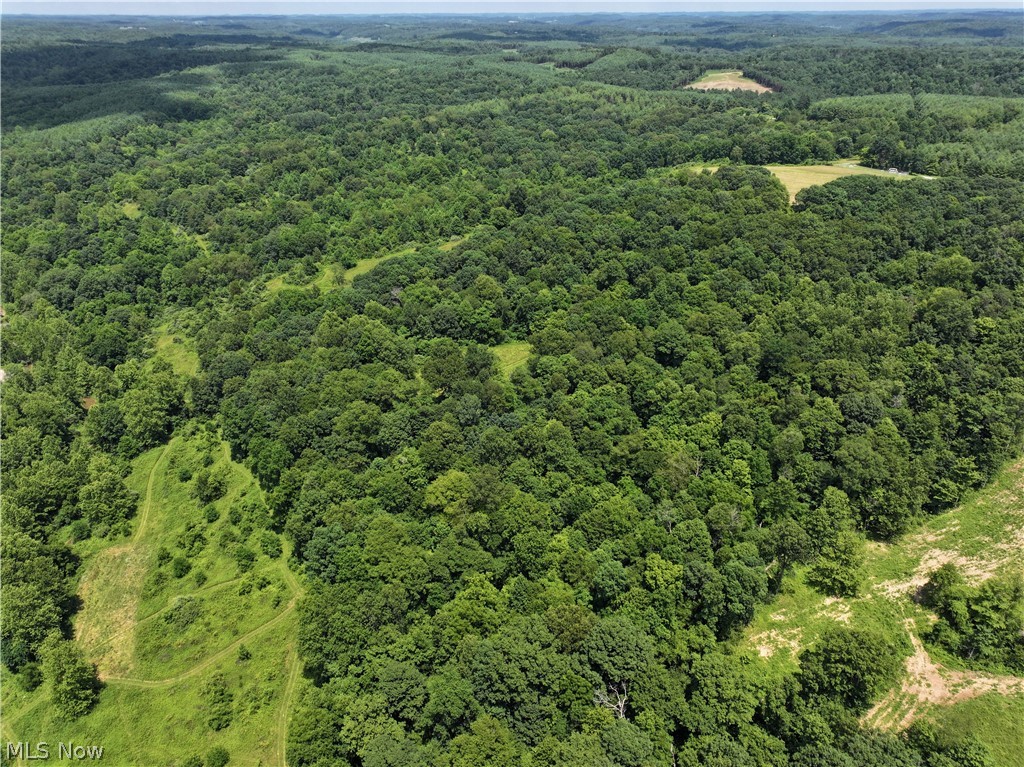 0 Tract ABCD Early Ridge Road, Mcconnelsville, OH