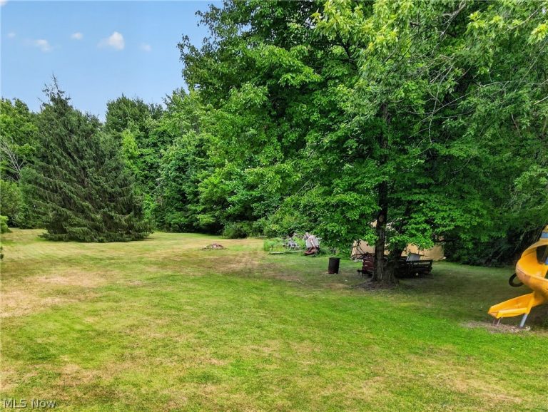 13813 Ravenna Road, Newbury, OH - Photo 5