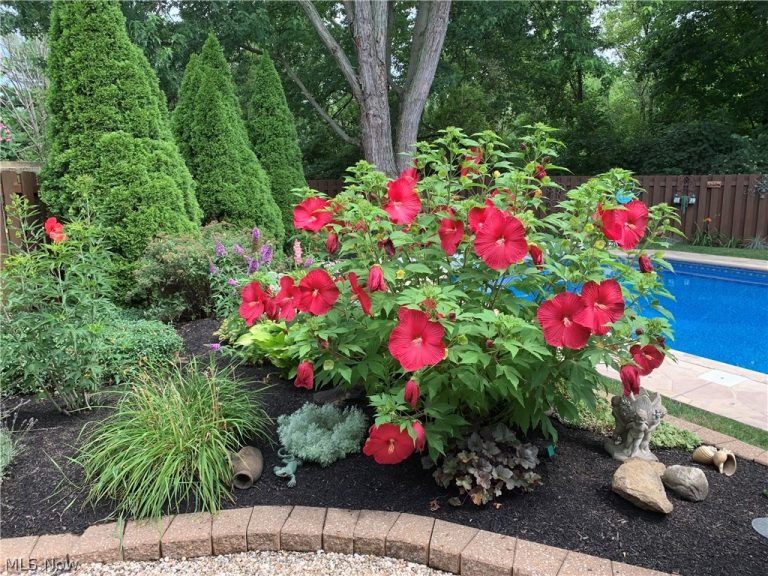 559 Berkshire Drive, Medina, OH - Photo 4