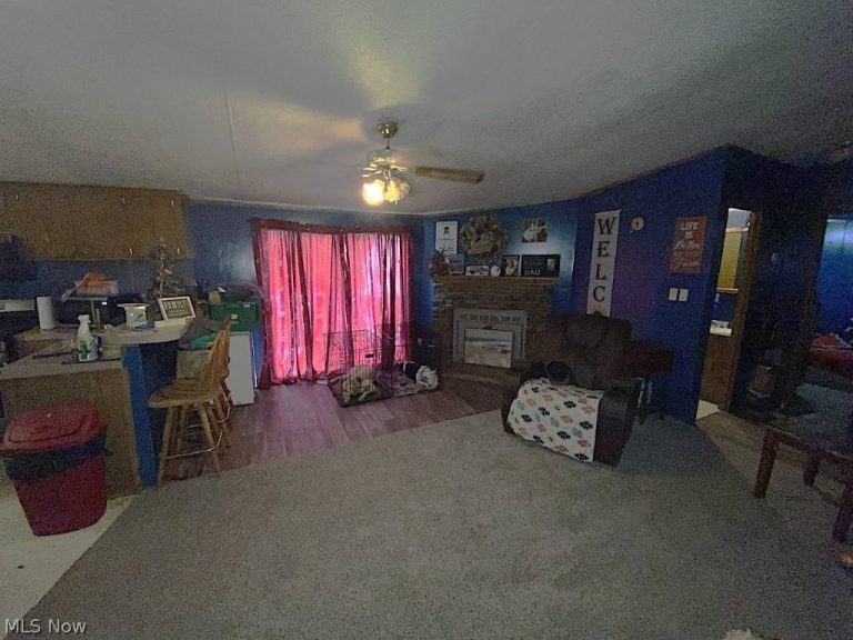 946 Missouri Fork, Spencer, WV - Photo 8