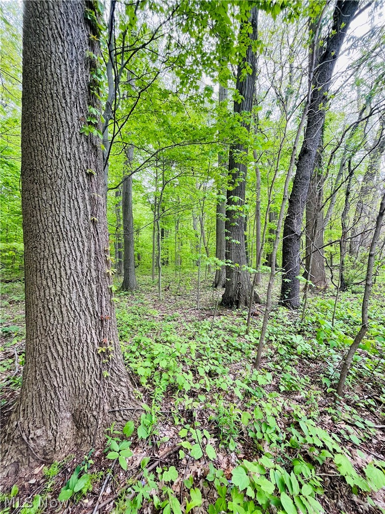 2215 Cambrian Street, Madison, OH - Photo 3