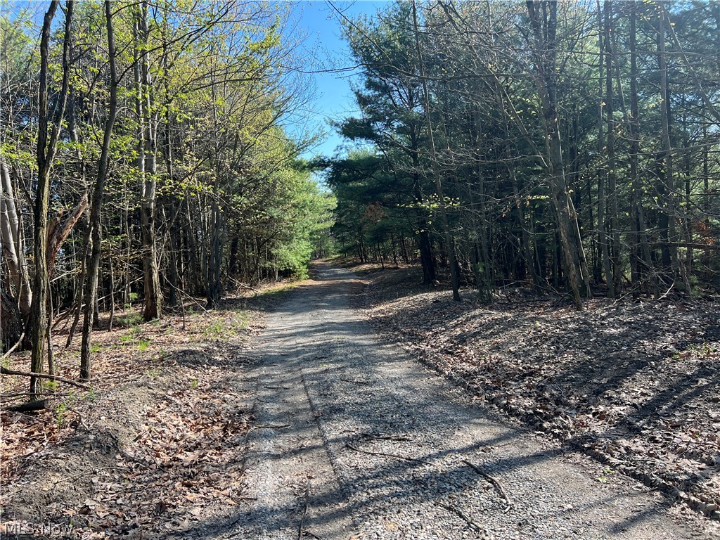 8371 French Hill Road, Bolivar, OH