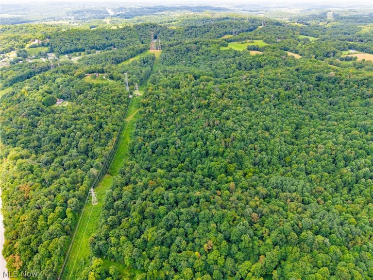 Hill Road, Dresden, OH - Photo 4