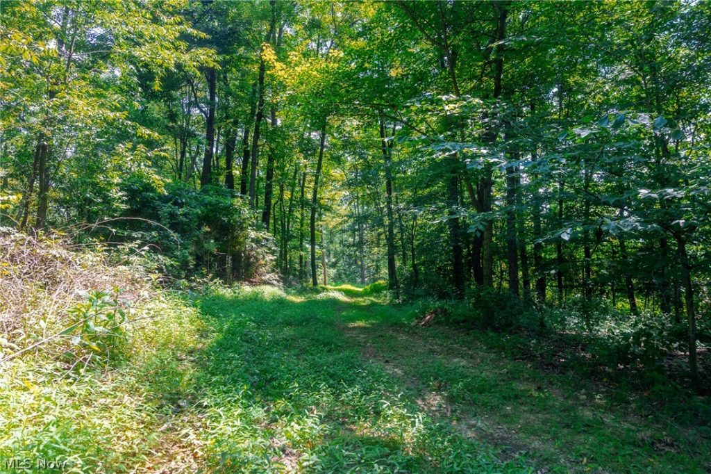 31800 Chestnut Ridge Road #1, Danville, OH