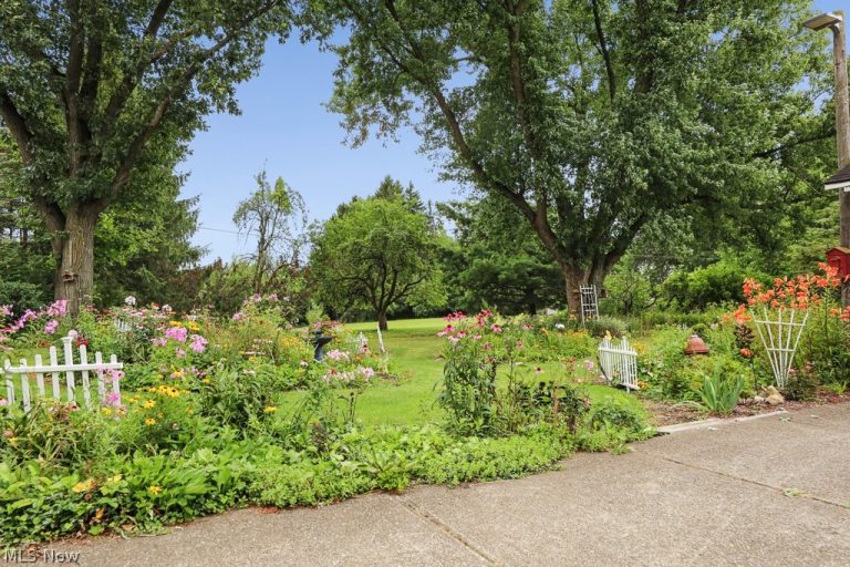 850 Wilbur Road, Medina, OH - Photo 6