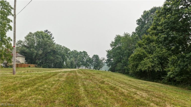 3410 Brunnerdale Avenue, Canton, OH - Photo 8