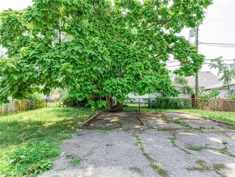 10922 Sandusky Avenue, Cleveland, OH - Photo 4