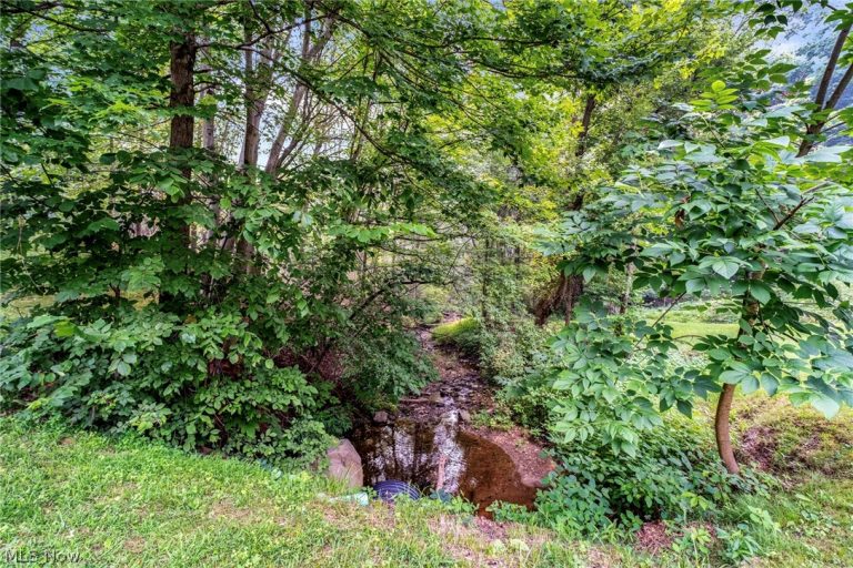 3306 Sycamore Drive, New Waterford, OH - Photo 5