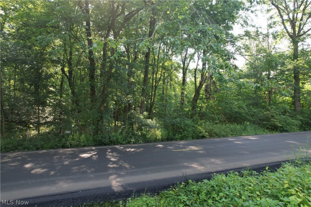 N Mahoning Portage County Lin Road, Lake Milton, OH