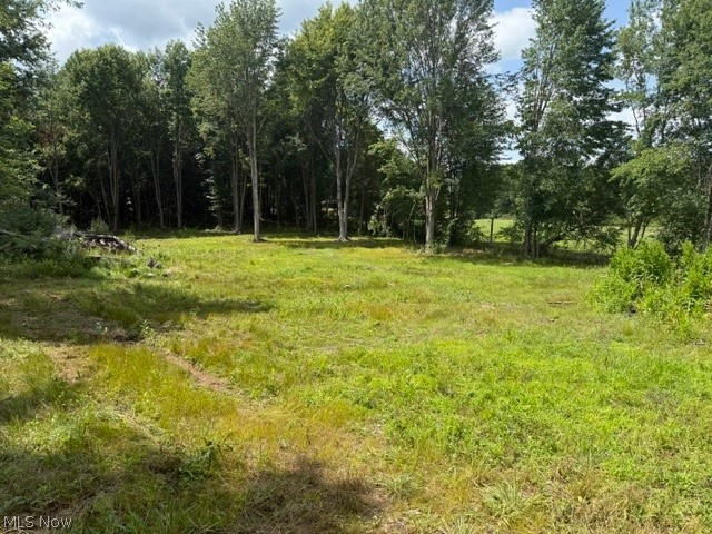 3281 Biltz Road, Kent, OH - Photo 4