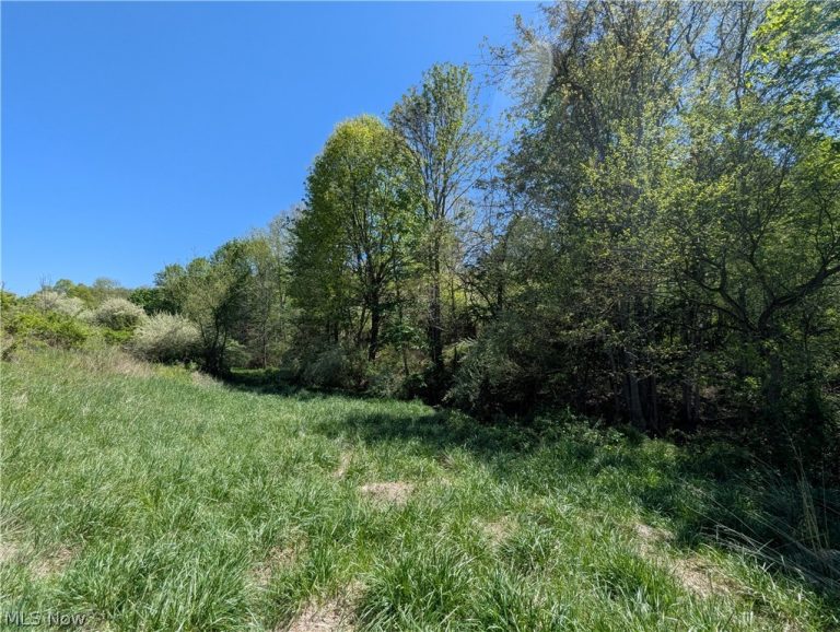 Sandy Lane, Chesterhill, OH - Photo 5