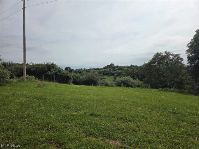 50160 & 50164 St. Clair Street, St Clairsville, OH - Photo 3