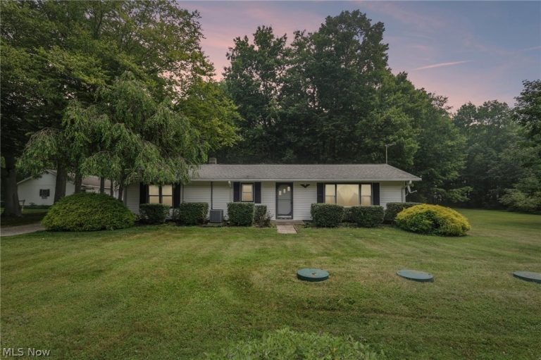 9793 Clay Street, Montville, OH, 44064