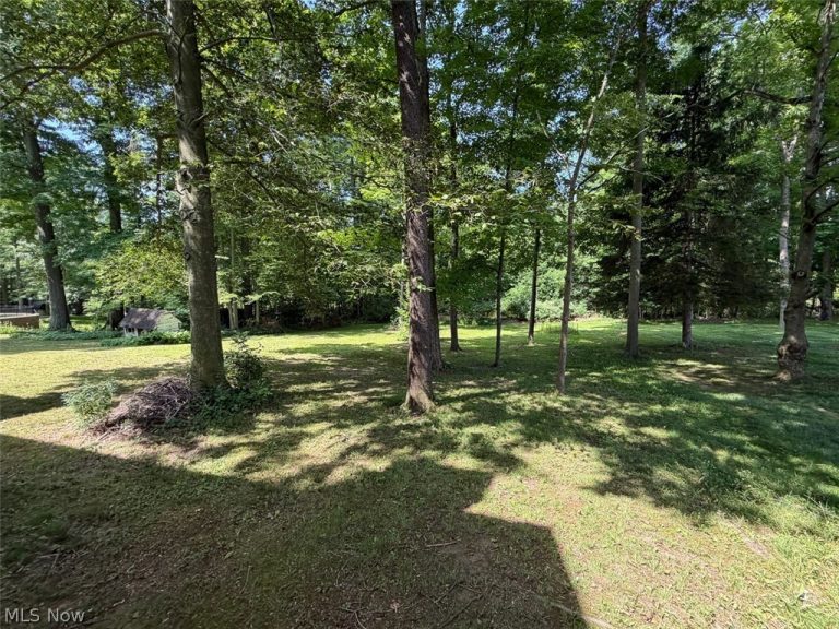 837 Pidgeon Road, Salem, OH - Photo 8