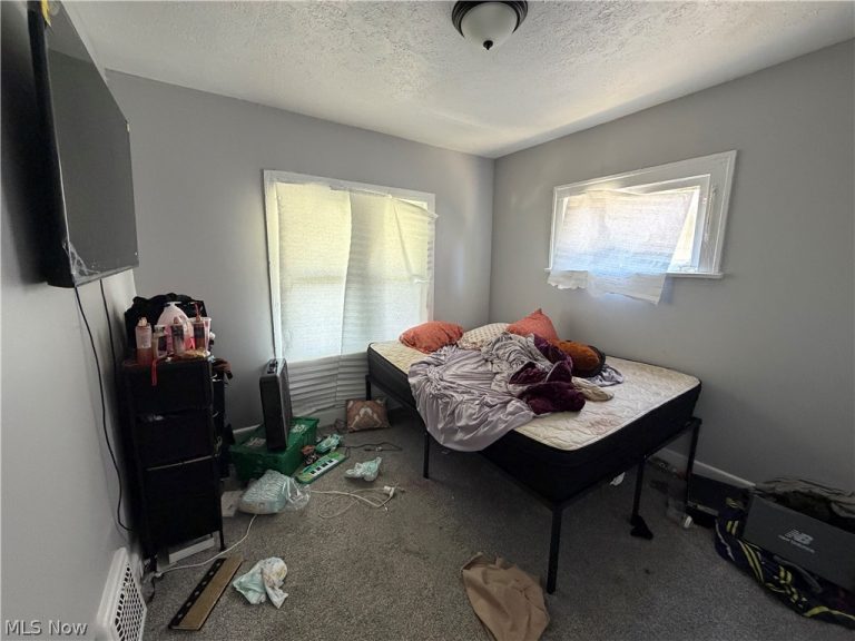 11101 Nelson Avenue, Cleveland, OH - Photo 8