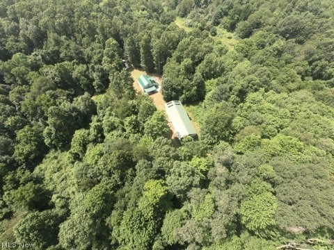 1047 Poinsettia Road, Scio, OH - Photo 5