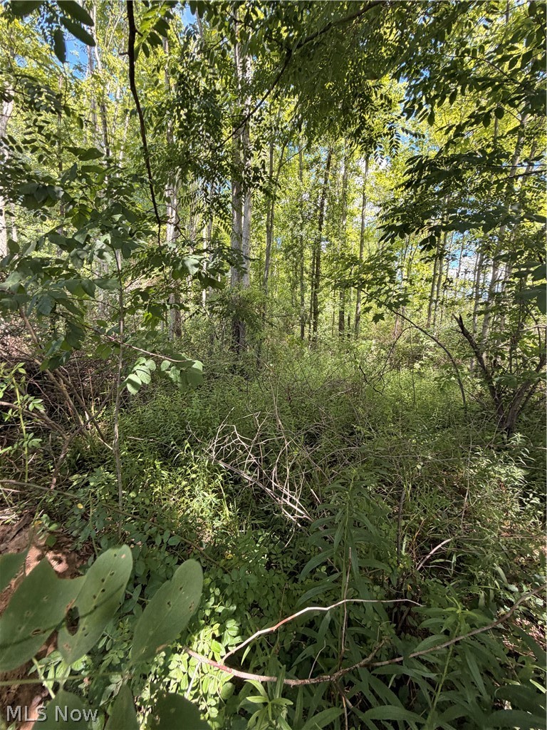 Forman Road, Rock Creek, OH - Photo 3