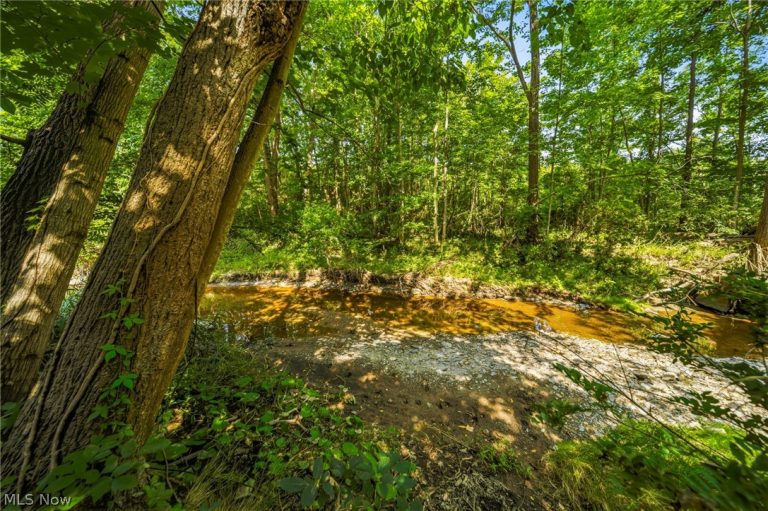 Hanna Road, Willoughby Hills, OH - Photo 6