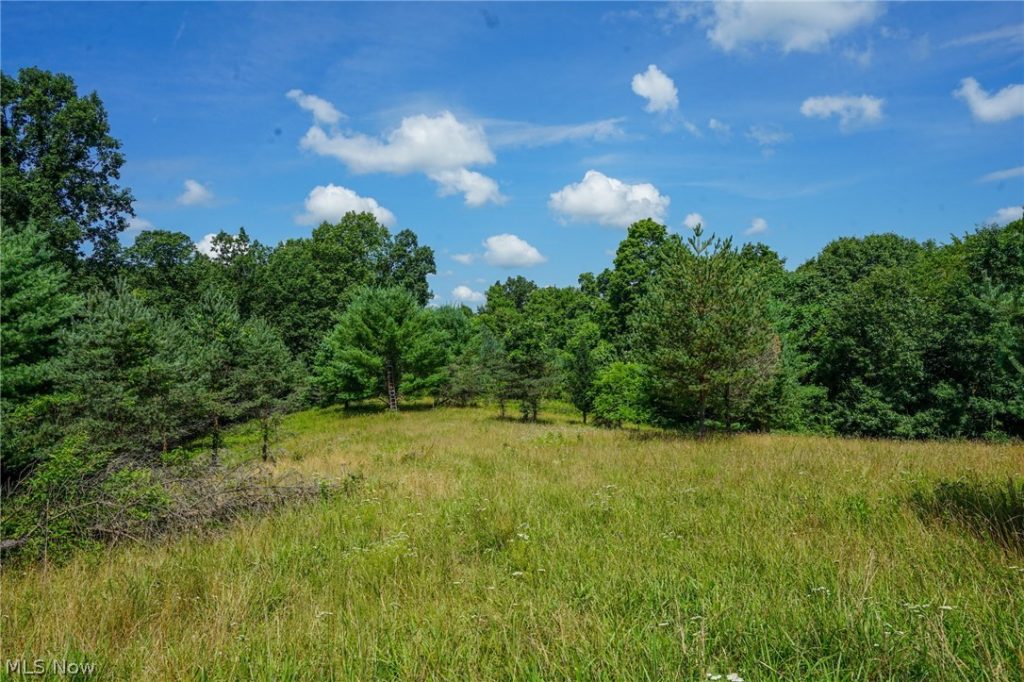 235 Butterbean Ridge Rd, Philo, OH