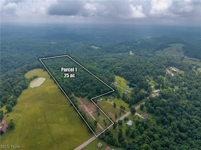 73356 Old Twenty-One Road, Kimbolton, OH - Photo 2