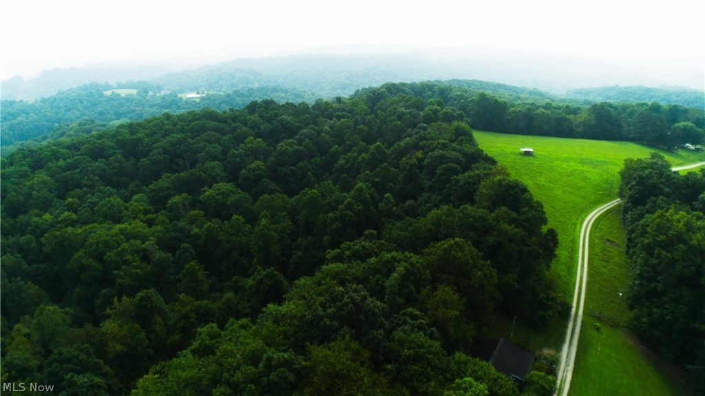 Carpenter Lane, Waverly, WV