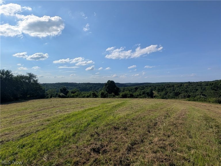 5045 Tract C E Reinersville Road, Mcconnelsville, OH - Photo 8