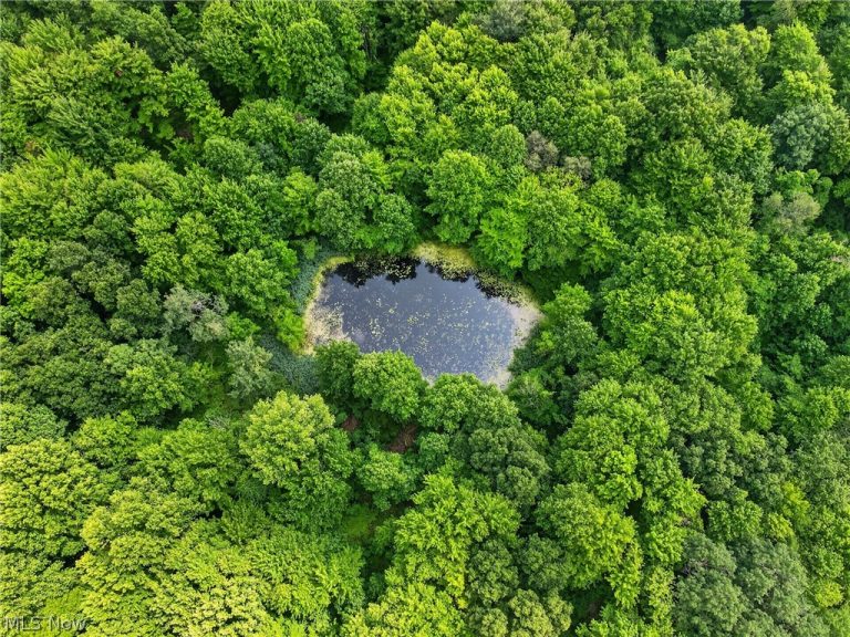 Keefus Road, Conneaut, OH - Photo 8