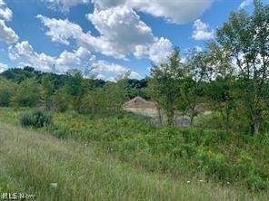 Akron Road, Doylestown, OH - Photo 4