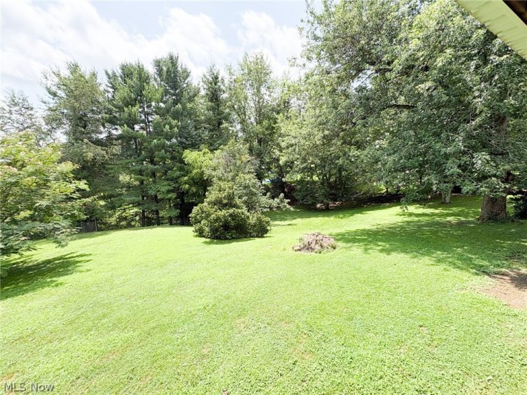 43195 South Ave Avenue, Beallsville, OH - Photo 5