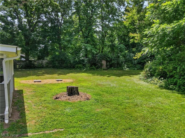 8136 Timberlane Drive, Concord Twp, OH - Photo 5