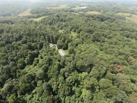 1047 Poinsettia Road, Scio, OH