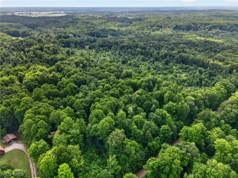 Keefus Road, Conneaut, OH - Photo 6